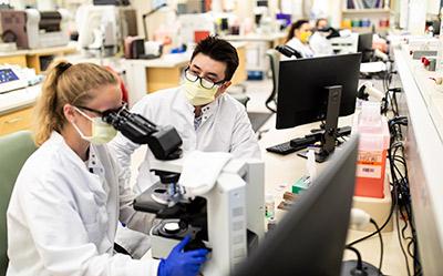 Students looking in a microscope in lab during their clinical rotation.